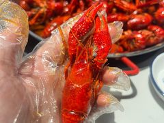-海岛八号龙虾烧烤田鸡(蓝天路总店)