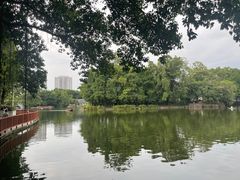 -荔湾湖公园