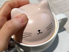 -吉丁鸟咖·异宠·寄养