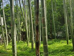 -杭州黄龙洞