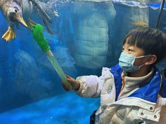 -华夏文旅海洋公园