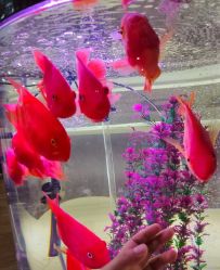 -Oasis Beauty水磨坊科技美肤中心