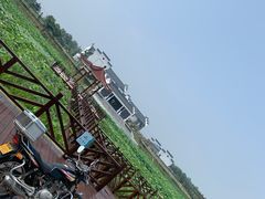 -荷花荡