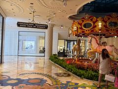 -拉斯维加斯永利酒店