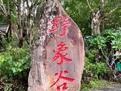 -野象谷景区
