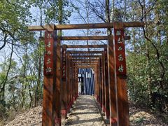 -云碧峰国家森林公园