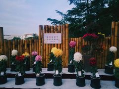 -上海大学（宝山校区）-图书馆