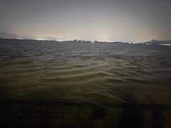 -深圳湾公园(南山区)