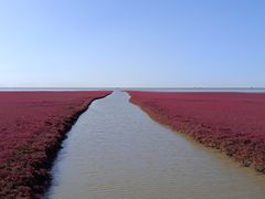 -红海滩国家风景廊道
