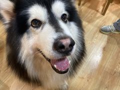 -白兔子密室(长寿路店)