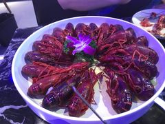 -96农蝎虾(江桥老街店)
