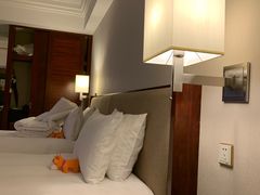 -惠州康帝国际酒店