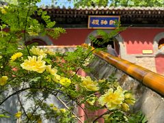 -潭柘寺景区
