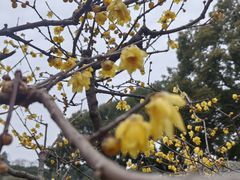 -无锡梅园公园