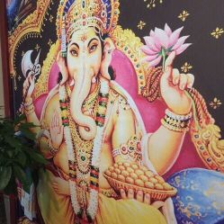 Union Yoga 瑜伽会所-Union瑜伽健康管理中心