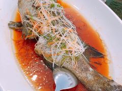 -頂好酒家·经典粤菜(海信广场店)
