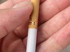 -南宁良凤江国家森林公园