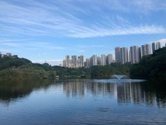 -重庆彩云湖湿地公园