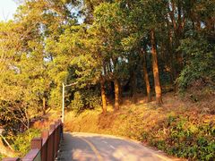 -梧桐山风景名胜区