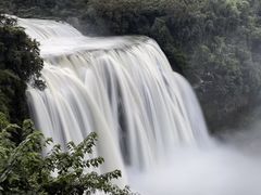 -鲜芋仙(中华广场店)