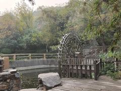 -石老人观光园