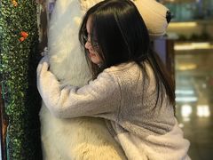 -大连圣亚海洋世界