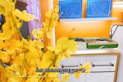 -CAMENAE嘉媚乐