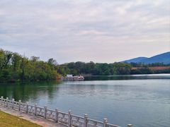 -佛手湖郊野公园