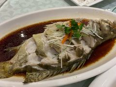 -金蝉食府(维吉奥广场店)