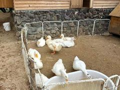 -HERRE·FARM 赫尔露营农场·团建聚会包场