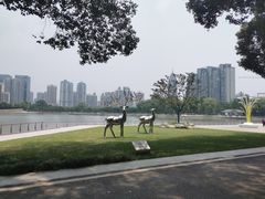 -西北湖绿化广场