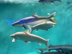 -太平洋海底世界