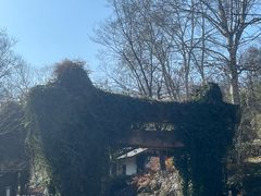 -南京老山国家森林公园