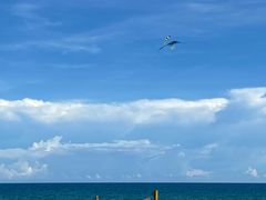 -三亚海棠湾万丽度假酒店