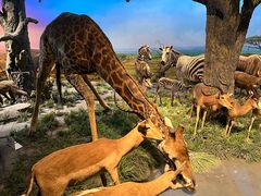 -国家自然博物馆