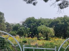 -北京植物园南门售票处