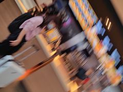 -麦当劳(深圳北站高铁店)