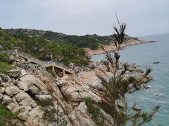 -广东惠东海龟国家级自然保护区