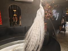 -滇野云南野生菌餐厅