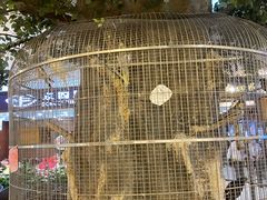 -东四民芳餐厅(世茂工三店)