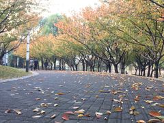 -苏州河梦清园环保主题公园