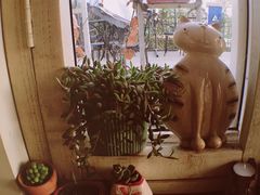 -海边的猫和咖啡馆