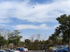 -春花秋色城市公园