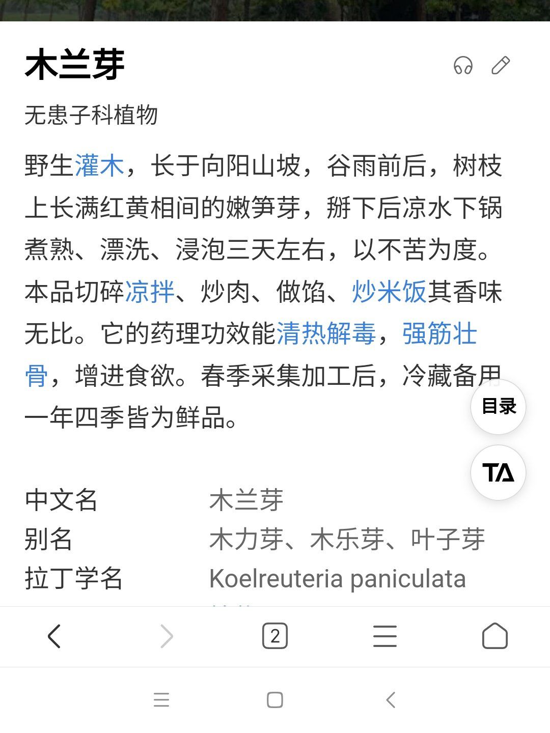 又到了吃木兰芽的季节喽