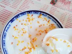 -周大娘牛乳(旧寨古村总店)