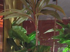 -牛村来人潮汕牛肉火锅(西单店)