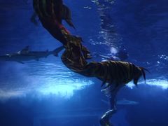 -太平洋海底世界