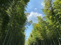 -天目湖御水温泉·度假酒店