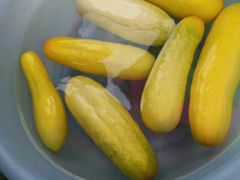 -祁门牯牛降观音堂风景区