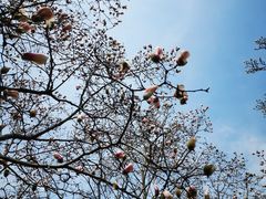 -白塘生态植物园